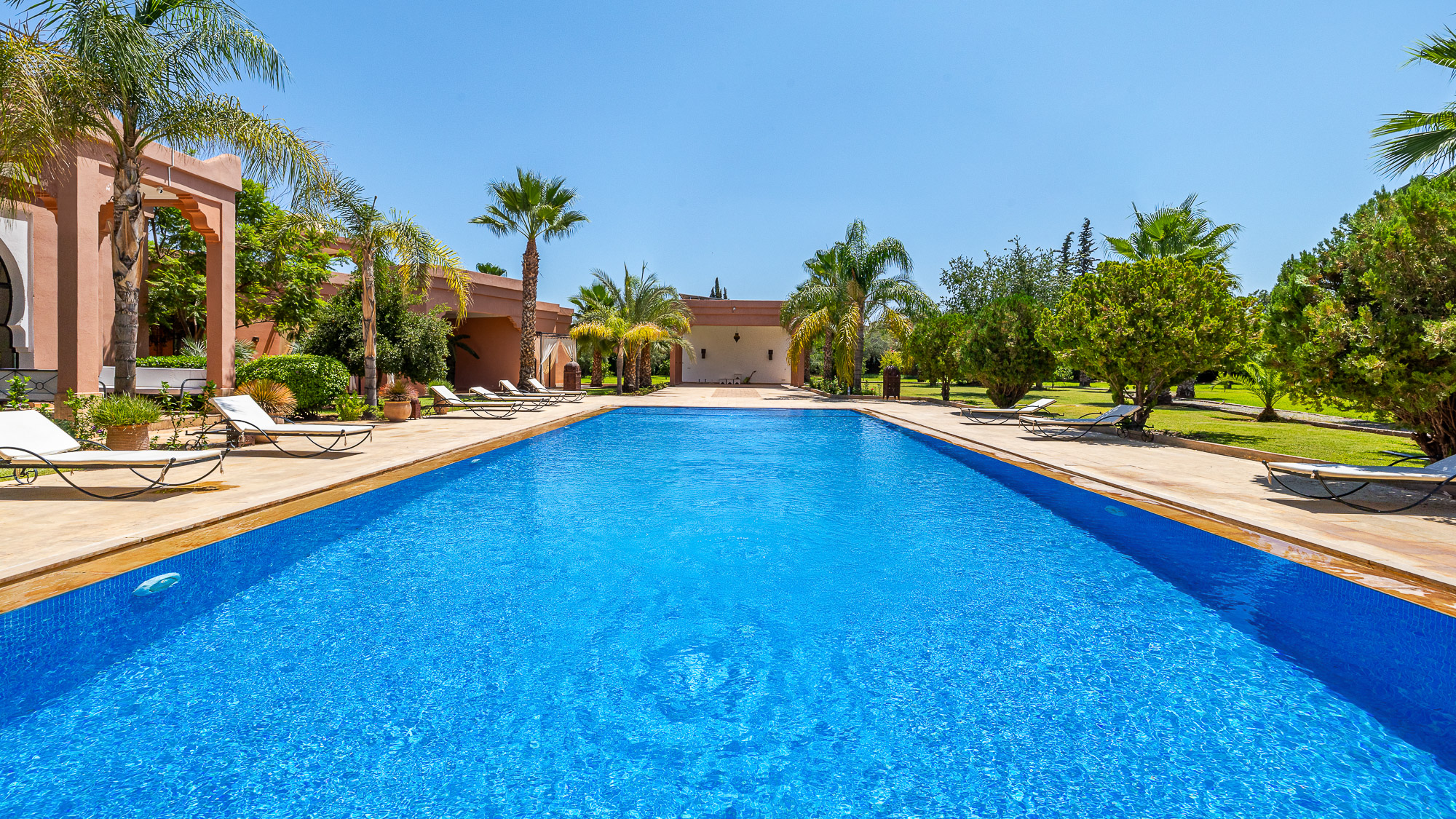 Pool perspective — palms & pavilion